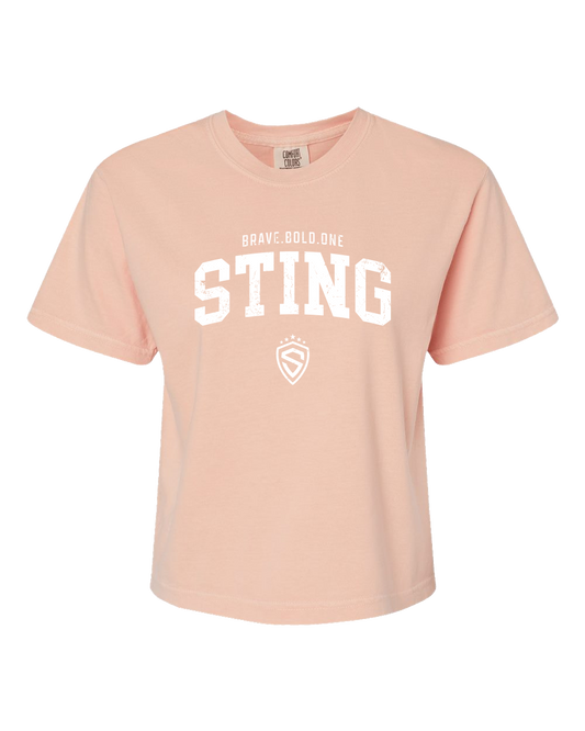 Sting 25 Women's Heavyweight Boxy Tee