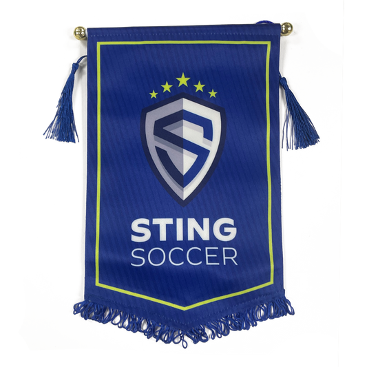 Sting Soccer Pennant